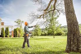 Best Root Management and Removal  in Eagleview, PA